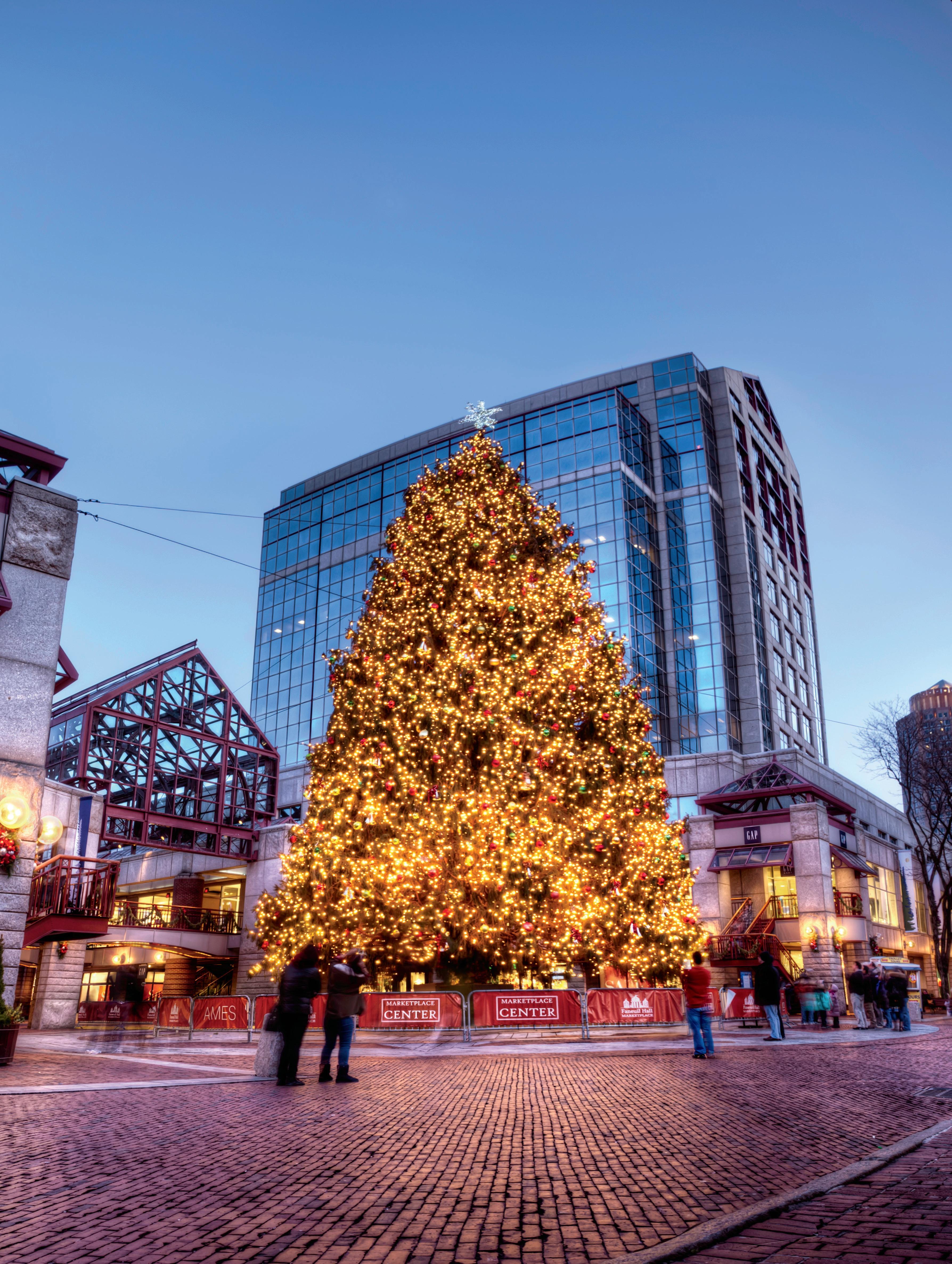 Yankee Magazine November/December 2016 by Yankee Magazine - Issuu